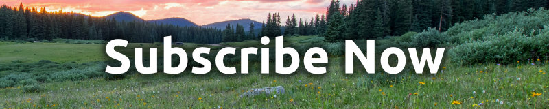 Subscription Button mini, 400p